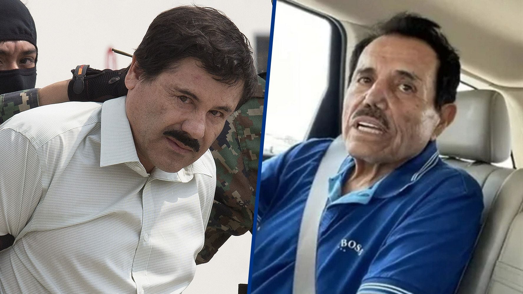 ¿Qué información contiene el documento JRZG36 de la DEA sobre ‘El Chapo’ Guzmán y ‘El Mayo’ Zambada?​